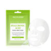 Hyaluronic acid facial sheet mask