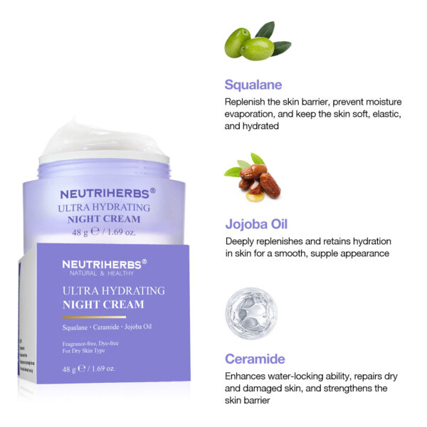 Night cream
