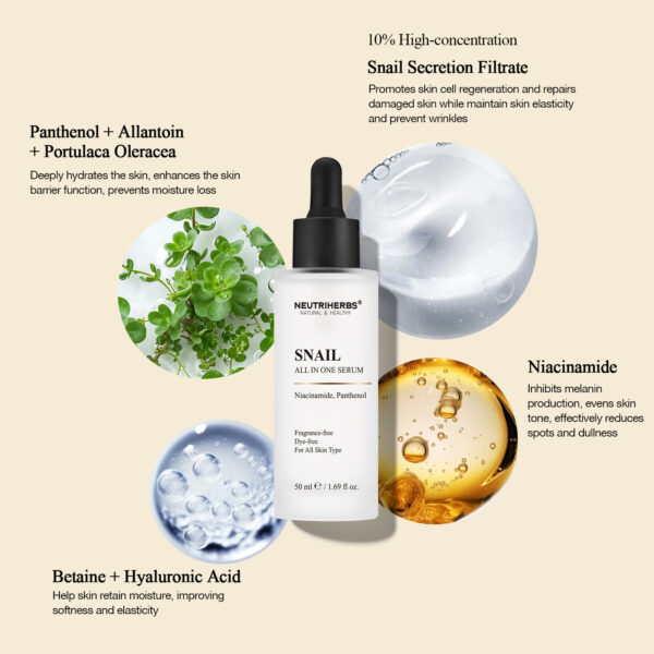 Snail serum